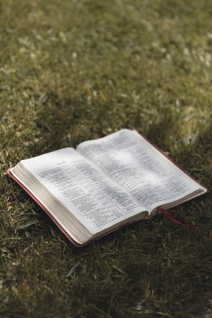 A close-up of an open Bible resting on a sunlit grass field, offering a serene outdoor setting.