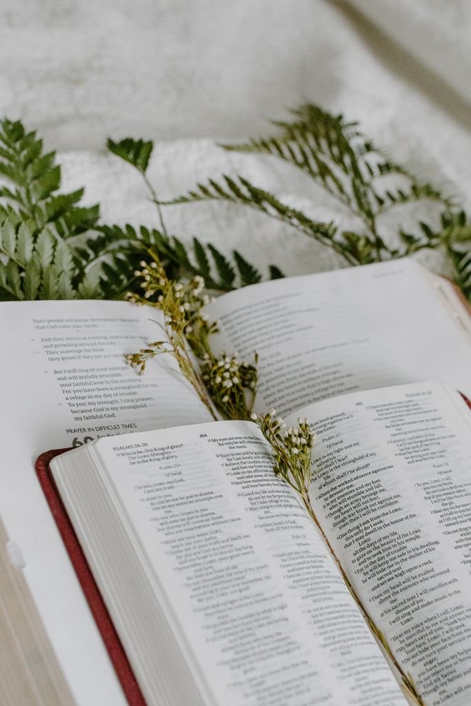 Open Bible pages adorned with dried flowers and fern leaves, creating a peaceful spiritual scene.
